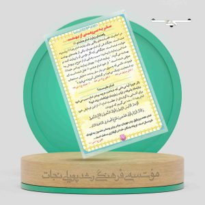 کارت جیبی راهنمای نوجوان برای زیارت حضرت رضا علیه السلام